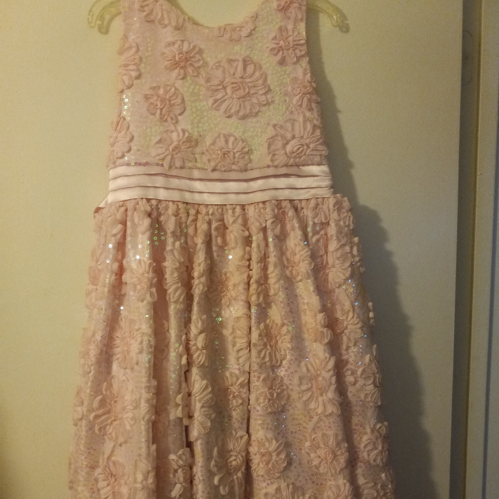 Light pink size 16 American Princess dress never worn